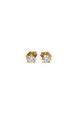 Solitaire Earrings (Martini-Set) - 14K Yellow Gold