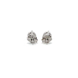 Solitaire Earrings (Martini-Set) - 14k Gold