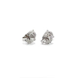 Solitaire Earrings (Martini-Set) - 14k Gold