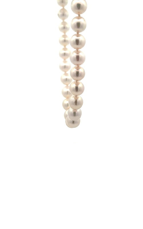 White pearls necklace on a white background