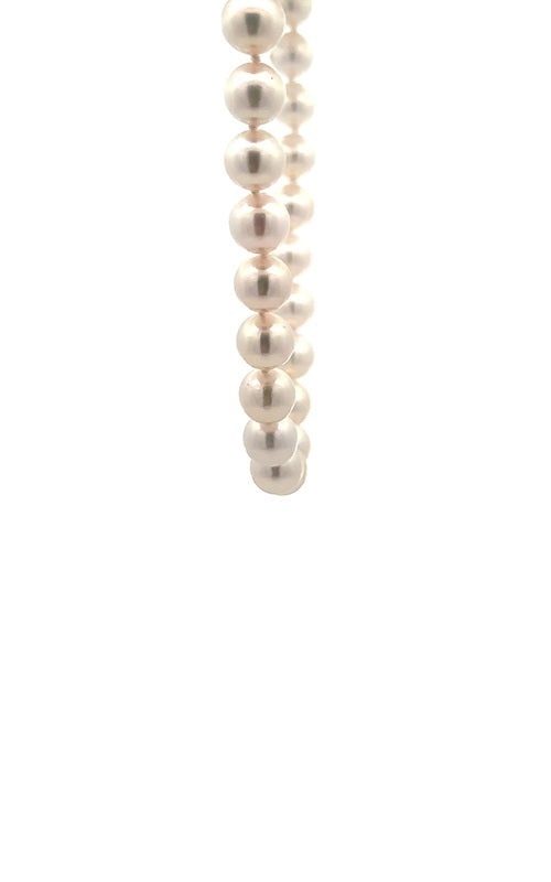 White pearls necklace on a white background