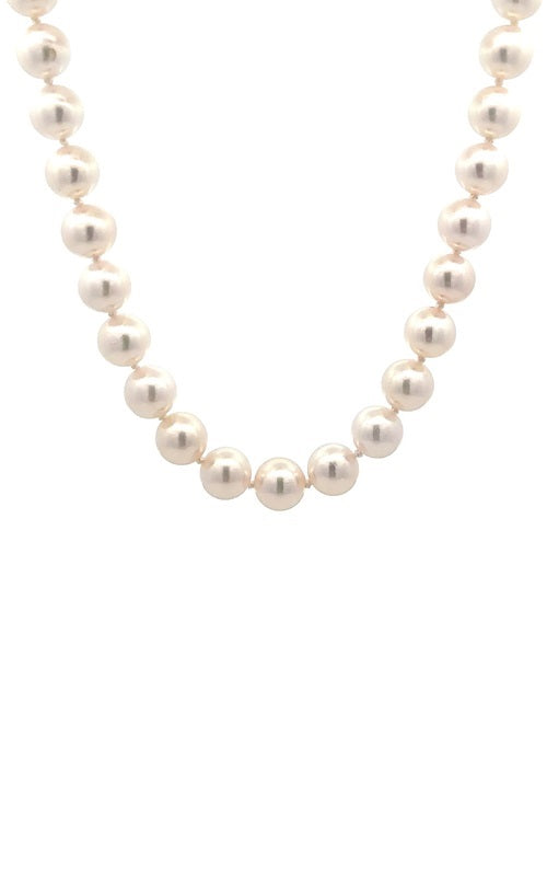 White pearls necklace on a white background