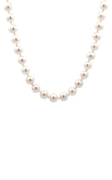 White pearls necklace on a white background