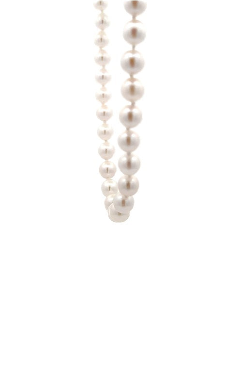 White pearls necklace on a white background