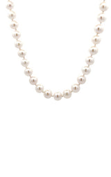 White pearls necklace on a white background