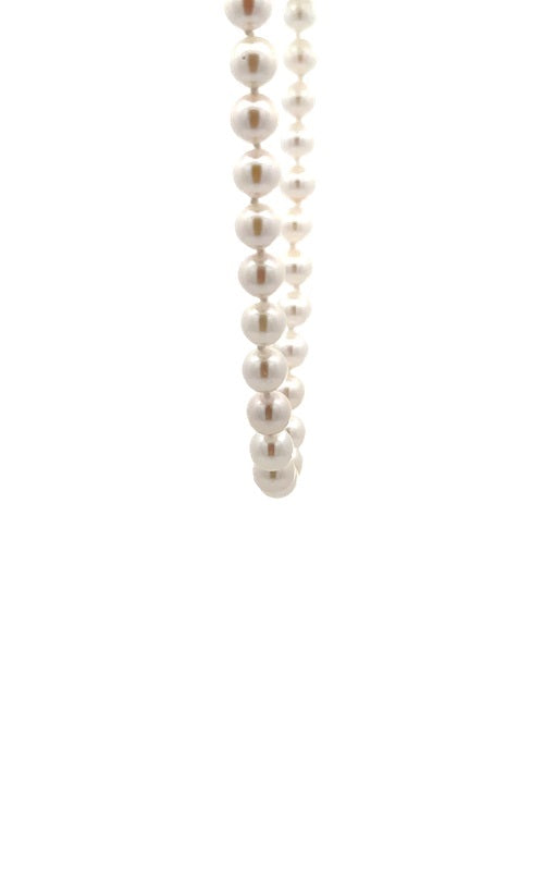 White pearls necklace on a white background