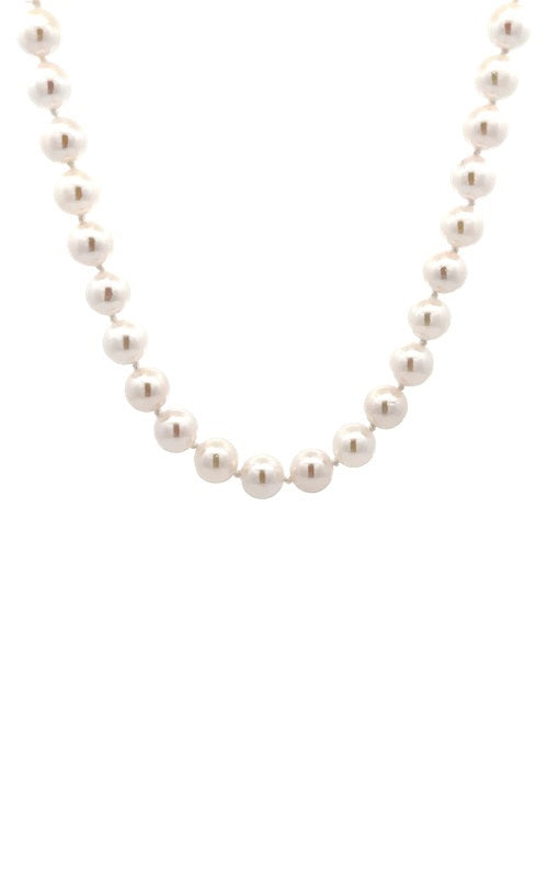 White pearls necklace on a white background