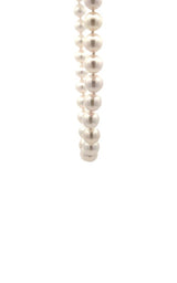 White pearls necklace on a white background