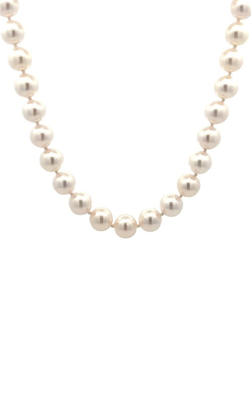 White pearls necklace on a white background