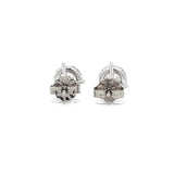 14K White Gold 2.00ct Solitaire Earrings (Martini-Set)