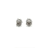 Solitaire Earrings (Martini-Set) - 14k Gold