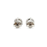 Solitaire Earrings (Martini-Set) - 14k Gold