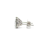 Solitaire Earrings (Martini-Set) - 14k Gold